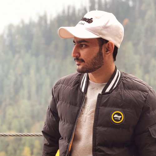 Muhammad Hamza's profile