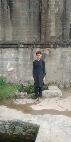 M.'s profile